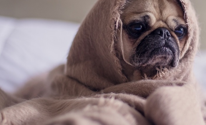 Как не чувствовать физическую боль